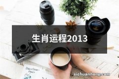 生肖运程2013