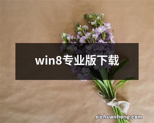 win8专业版下载