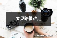 梦见路很难走