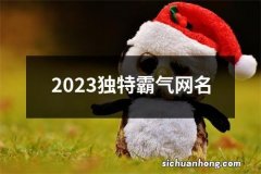 2023独特霸气网名