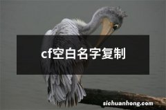 cf空白名字复制