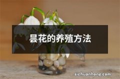 昙花的养殖方法