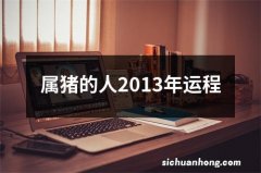 属猪的人2013年运程