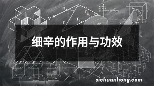 细辛的作用与功效