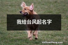 我给台风起名字