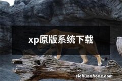 xp原版系统下载