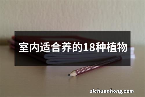 室内适合养的18种植物