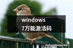 windows7万能激活码