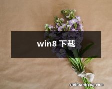 win8 下载