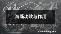 海藻功效与作用