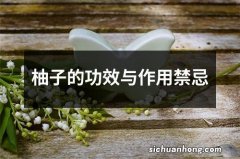 柚子的功效与作用禁忌