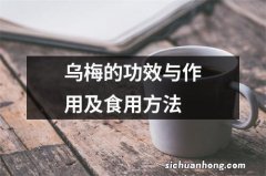 乌梅的功效与作用及食用方法