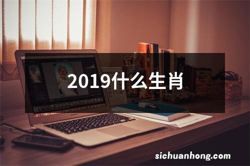 2019什么生肖