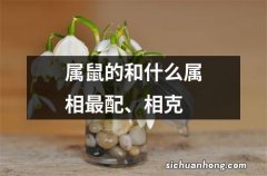 属鼠的和什么属相最配、相克