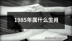 1985年属什么生肖