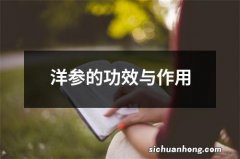 洋参的功效与作用