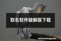 取名软件破解版下载