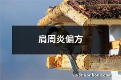 肩周炎偏方