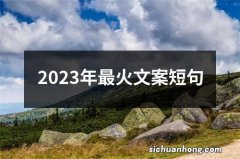 2023年最火文案短句