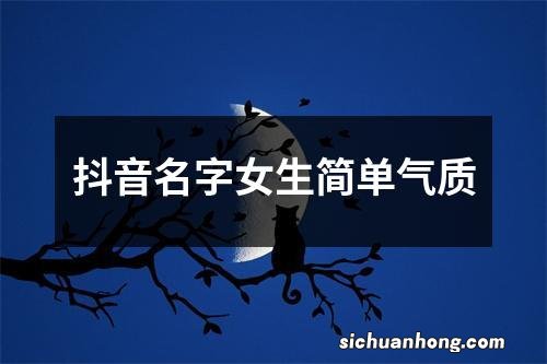 抖音名字女生简单气质