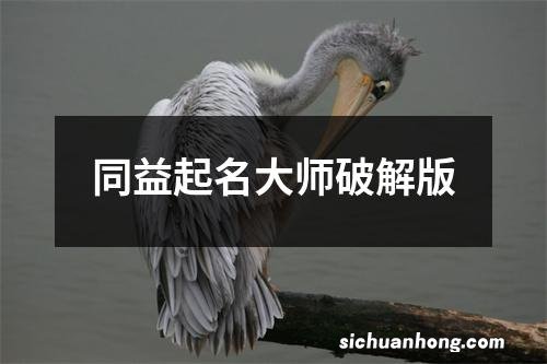 同益起名大师破解版