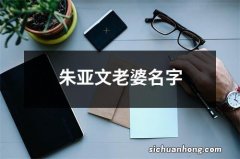 朱亚文老婆名字