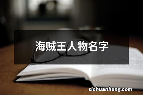 海贼王人物名字