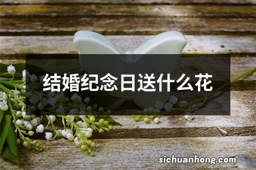 结婚纪念日送什么花