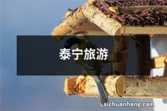 泰宁旅游