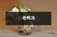 老鸭汤