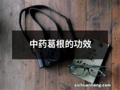 中药葛根的功效