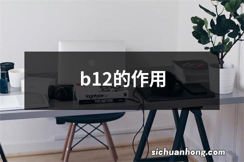 b12的作用
