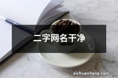 二字网名干净