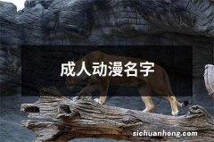 成人动漫名字