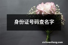 身份证号码查名字