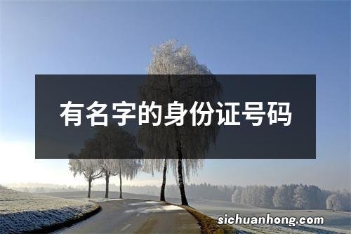 有名字的身份证号码