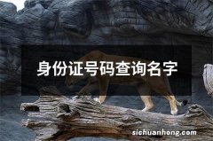 身份证号码查询名字