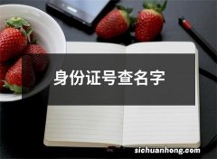 身份证号查名字