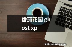 番茄花园 ghost xp