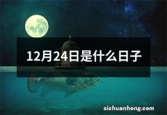 12月24日是什么日子