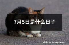 7月5日是什么日子