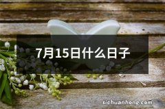 7月15日什么日子