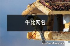 牛比网名