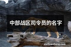 中部战区司令员的名字