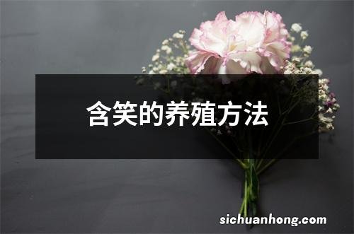 含笑的养殖方法