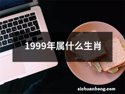 1999年属什么生肖