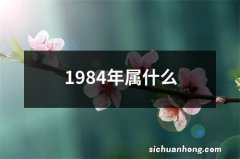 1984年属什么