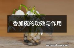 香加皮的功效与作用