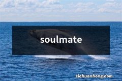 soulmate