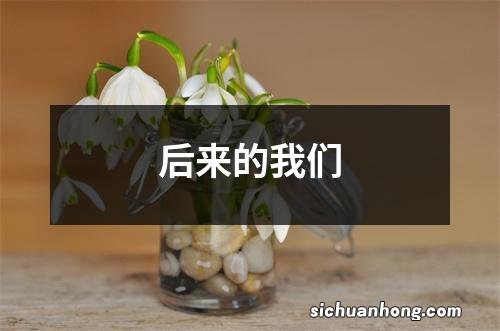 后来的我们